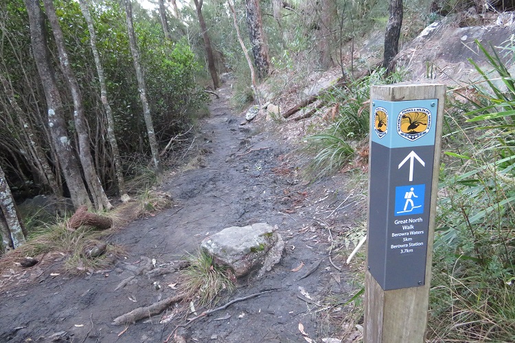 Great North Wallk, Sydney to Newcastle, NSW