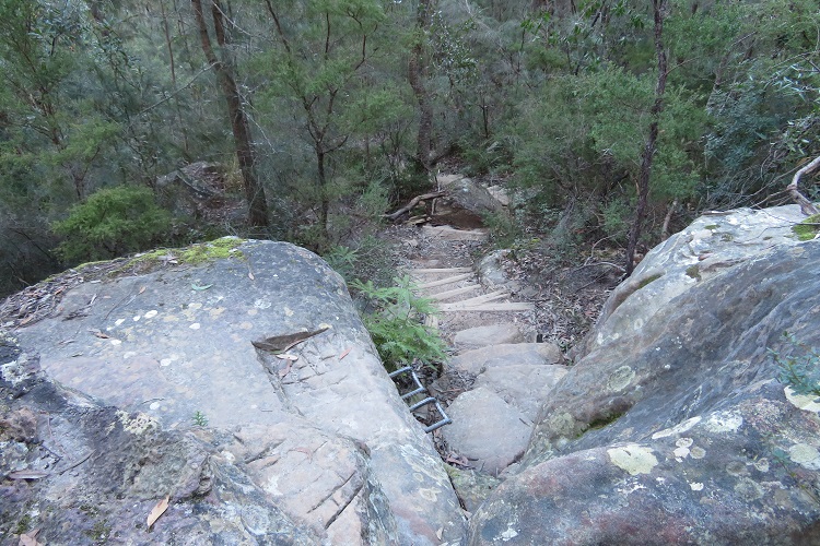 Great North Wallk, Sydney to Newcastle, NSW