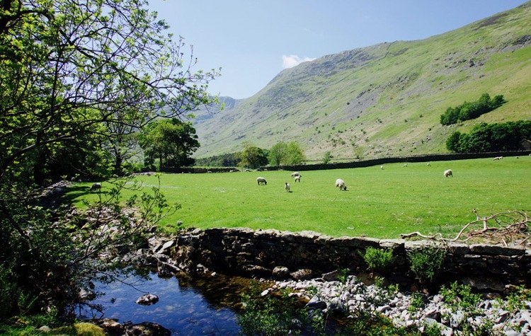 Coast to Coast Walk. Source: Raw Travel