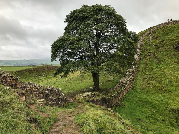 Hadrian's Wall Path. Source: Walk Wild