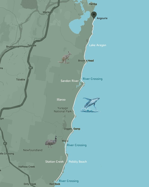 Yuragir Coastal Walk. Source: Connect Yuragir