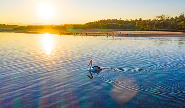 Yuragir Coastal Walk. Source: NPWS