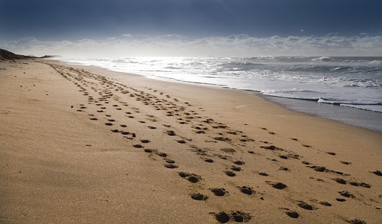 Solitary Island Coast Walk. Source: NPWS