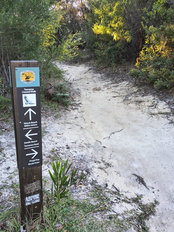 A sandy path on the Tomaree Coastal Walk