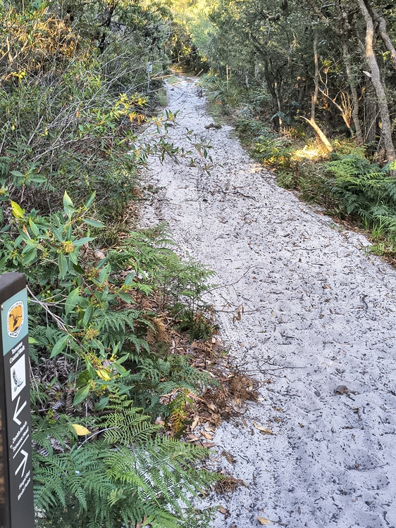 Signs on the Tomaree Coastal Walk