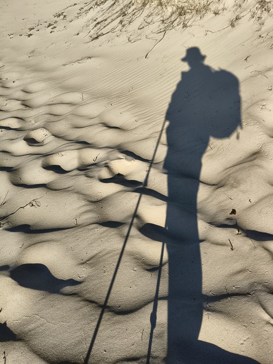 First views of Fingal Bay on the Tomaree Coastal Walk