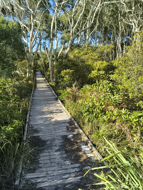 Trail views on the Tomaree Coastal Walk