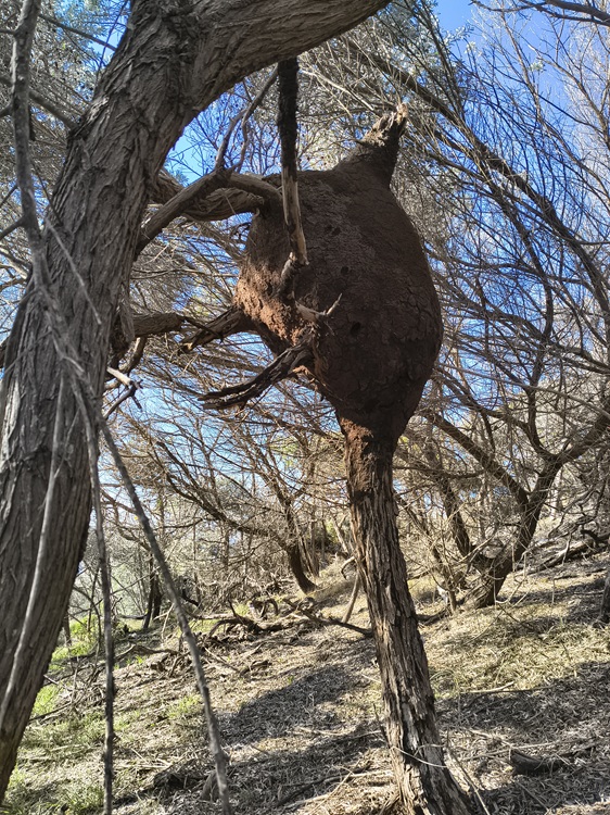 Trail views on the Tomaree Coastal Walk