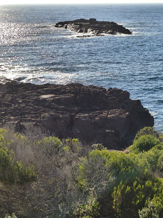 Trail views on the Tomaree Coastal Walk