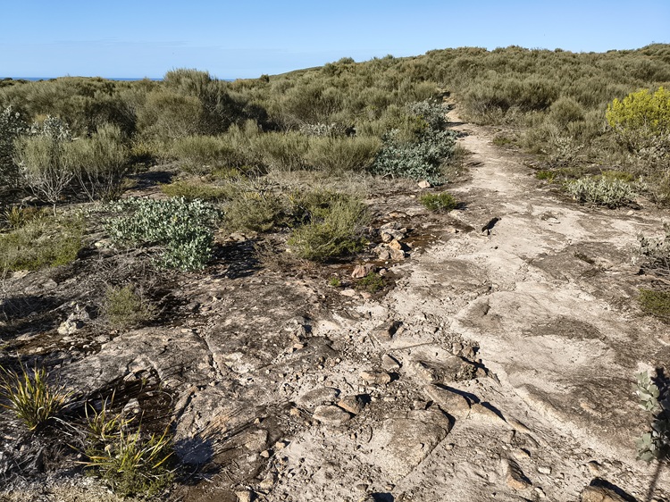 Trail views on the Tomaree Coastal Walk
