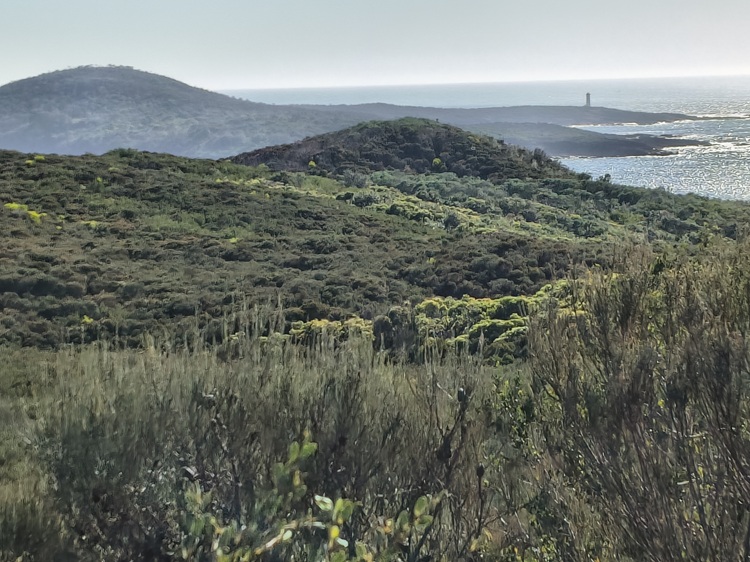 Trail views on the Tomaree Coastal Walk