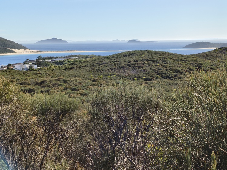 Trail views on the Tomaree Coastal Walk