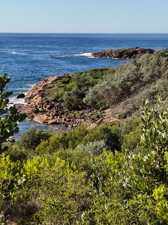 Trail views on the Tomaree Coastal Walk