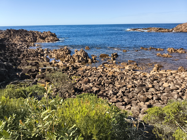 Trail views on the Tomaree Coastal Walk