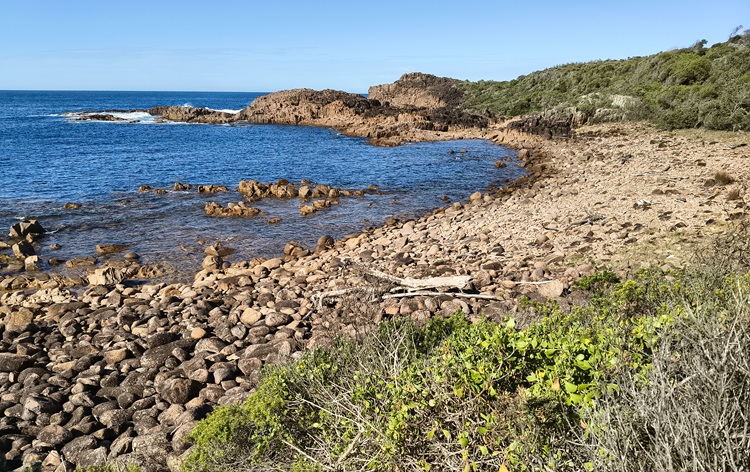 Trail views on the Tomaree Coastal Walk