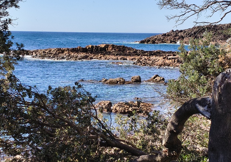 Trail views on the Tomaree Coastal Walk