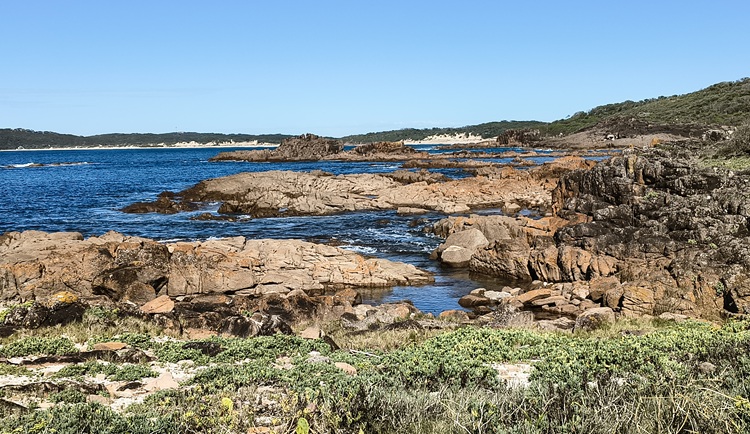 Trail views on the Tomaree Coastal Walk