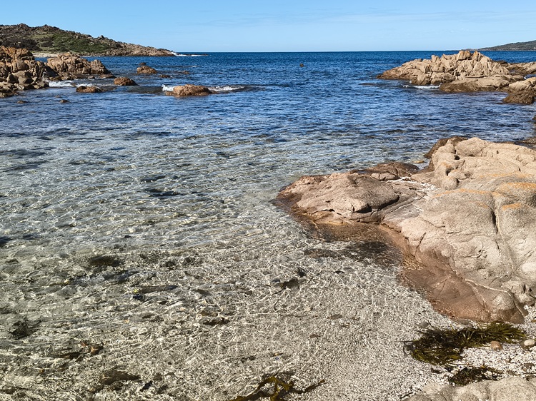 Trail views on the Tomaree Coastal Walk