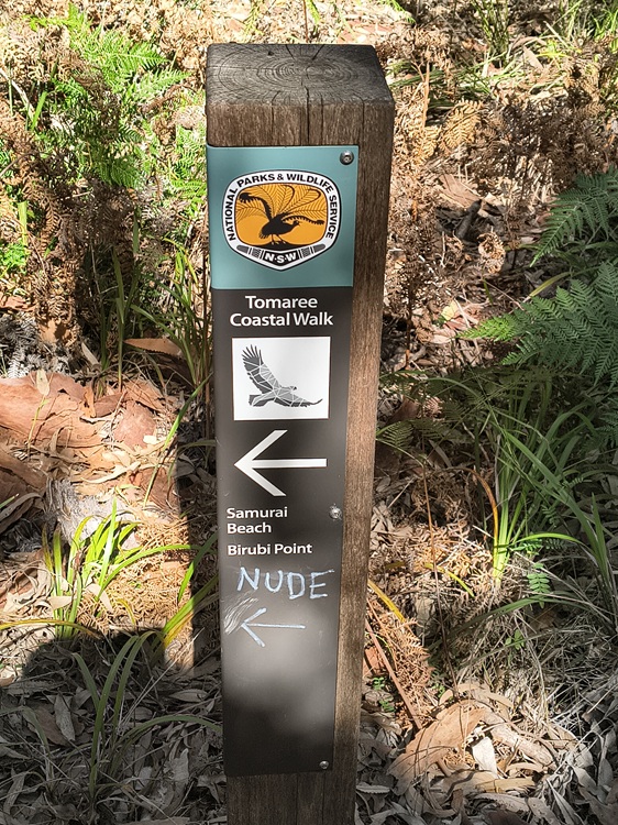 Trail views on the Tomaree Coastal Walk