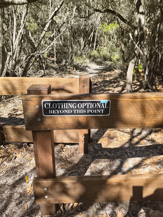 Trail views on the Tomaree Coastal Walk