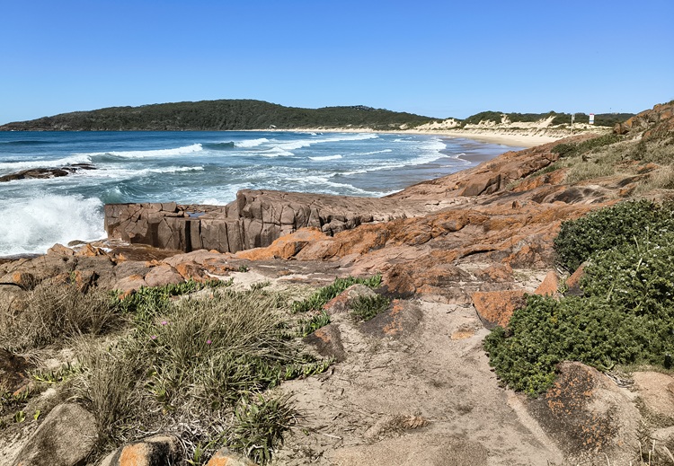 Trail views on the Tomaree Coastal Walk