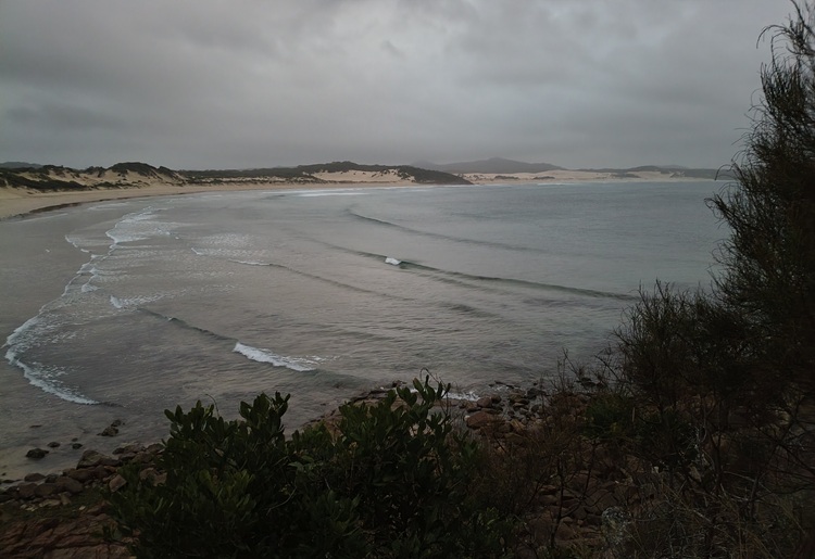 Water views on the Tomaree Coastal Walk, NSW