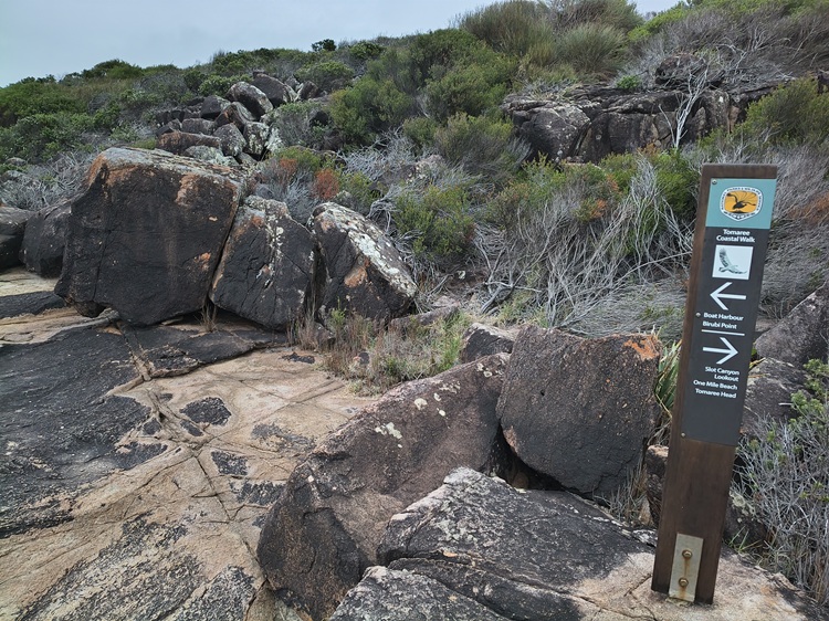 Water views on the Tomaree Coastal Walk, NSW
