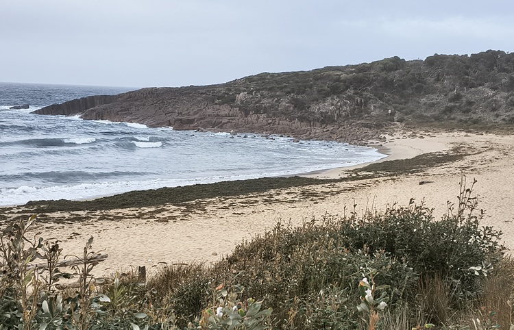Water views on the Tomaree Coastal Walk, NSW