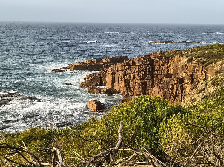 Water views on the Tomaree Coastal Walk, NSW