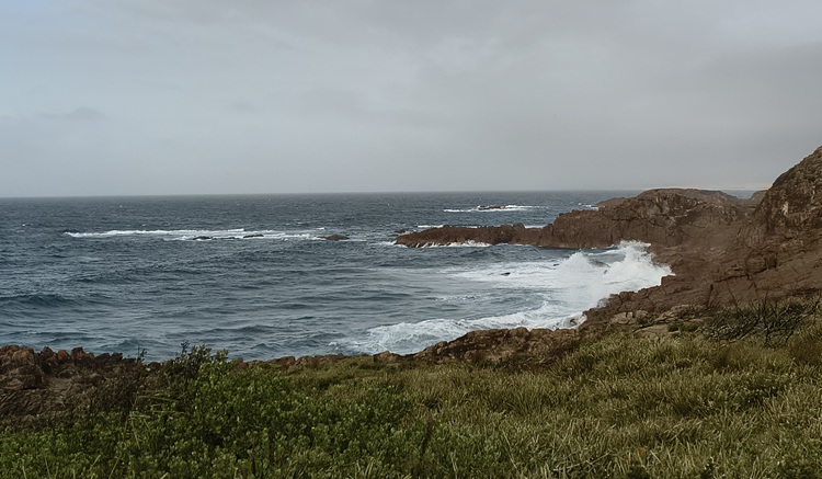 Water views on the Tomaree Coastal Walk, NSW
