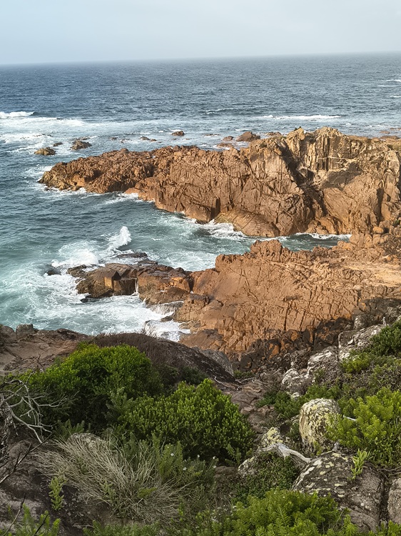 Water views on the Tomaree Coastal Walk, NSW