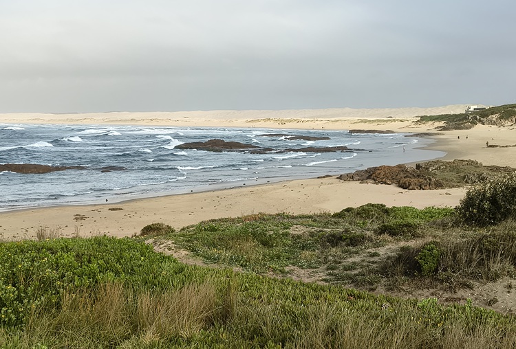 Water views on the Tomaree Coastal Walk, NSW