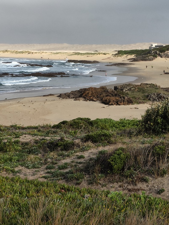 Water views on the Tomaree Coastal Walk, NSW
