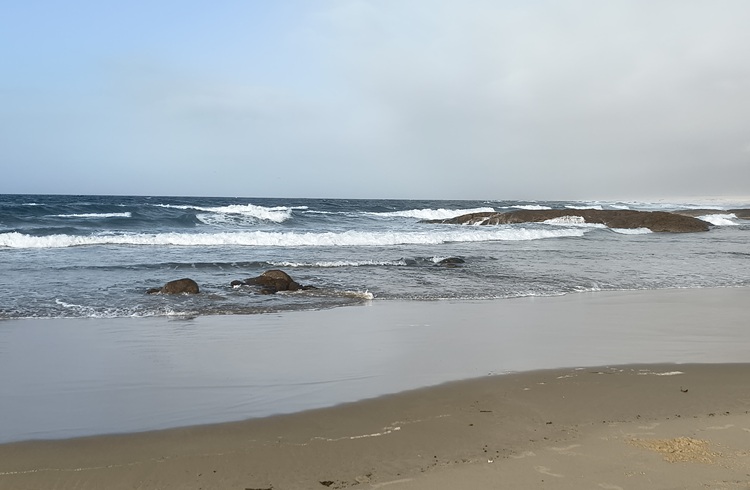 Water views on the Tomaree Coastal Walk, NSW
