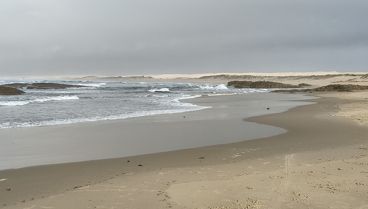 Water views on the Tomaree Coastal Walk, NSW