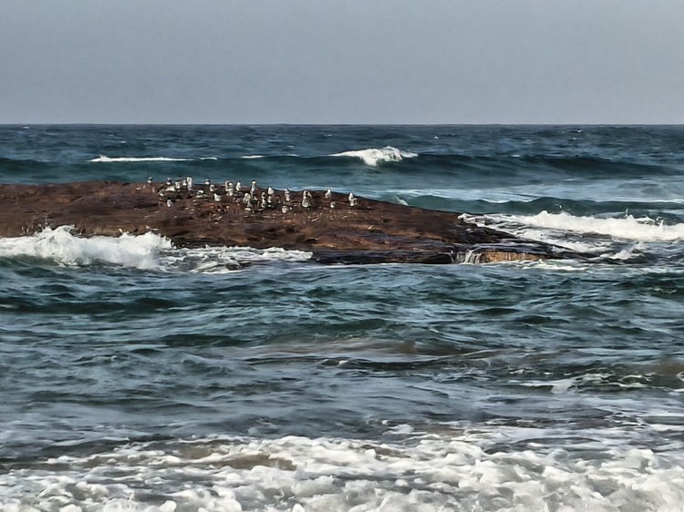 Water views on the Tomaree Coastal Walk, NSW