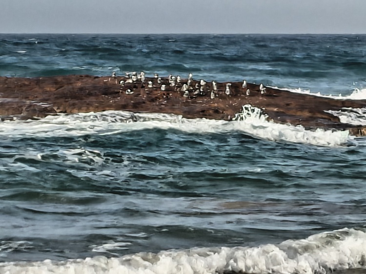 Water views on the Tomaree Coastal Walk, NSW