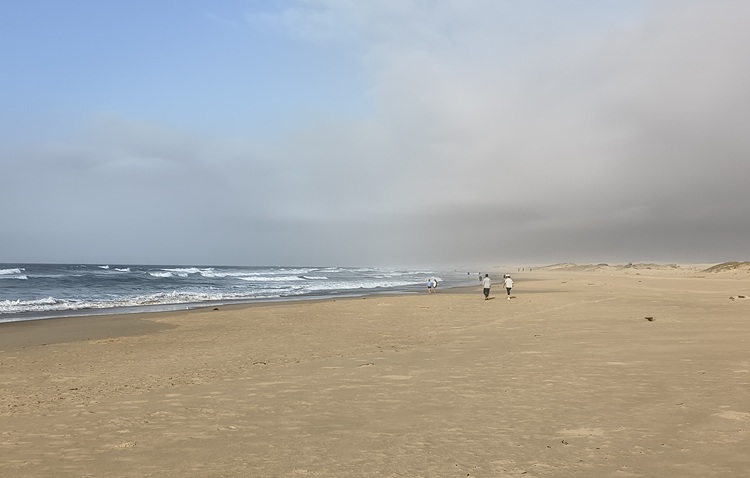 Water views on the Tomaree Coastal Walk, NSW