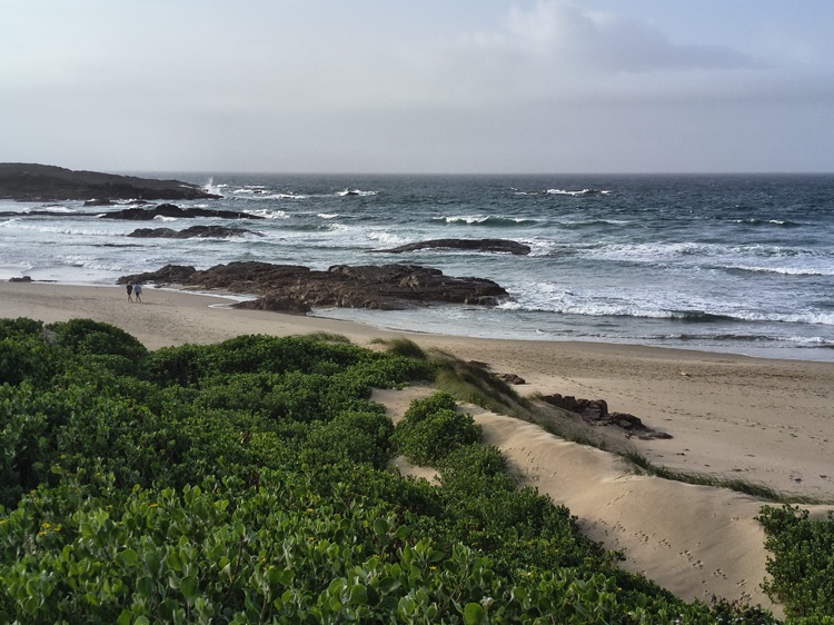 Water views on the Tomaree Coastal Walk, NSW