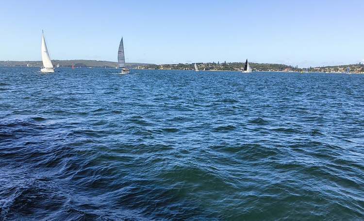 Circular Quay to Manly ferry, Sydney