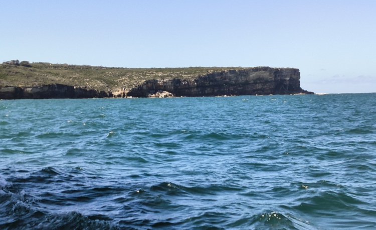 Circular Quay to Manly ferry, Sydney