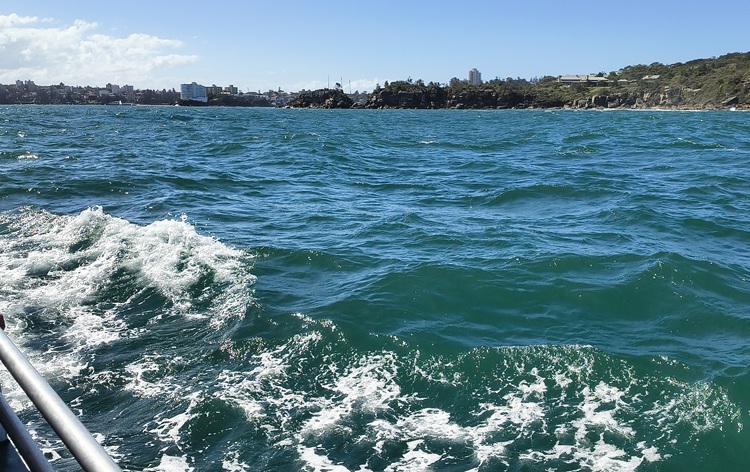 Circular Quay to Manly ferry, Sydney