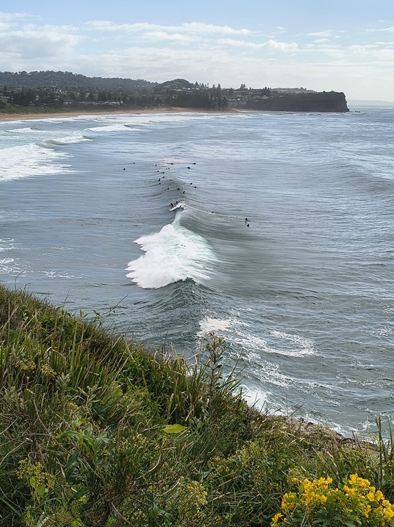 Heading towards Mona Vale Beach, Manly to Palm Beach Trail, Sydney NSW