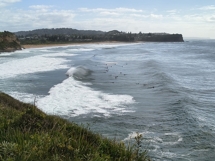 Heading towards Mona Vale Beach, Manly to Palm Beach Trail, Sydney NSW