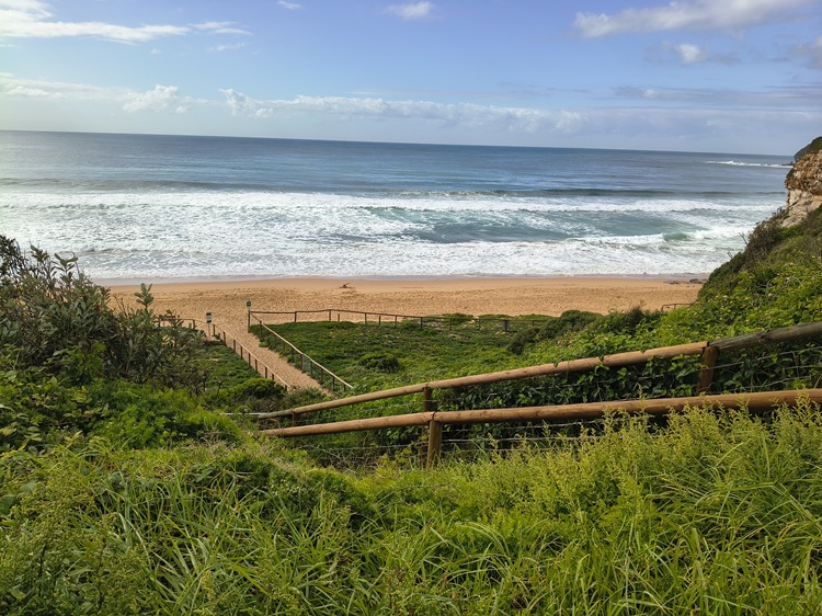 Heading towards Mona Vale Beach, Manly to Palm Beach Trail, Sydney NSW