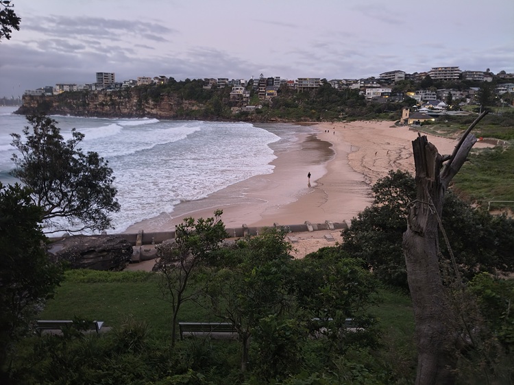 Early morning activity at Freshwater Beach