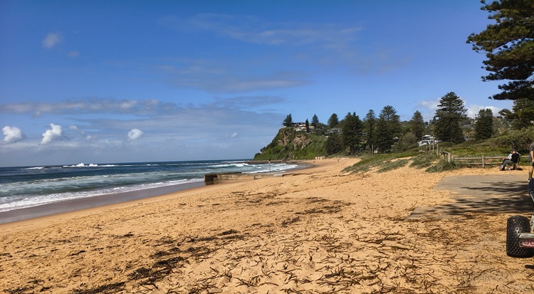 Newport Beach, Manly to Palm Beach Trail, Sydney NSW