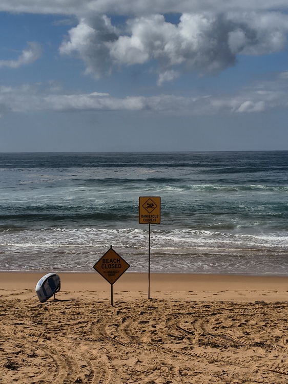 Newport Beach, Manly to Palm Beach Trail, Sydney NSW