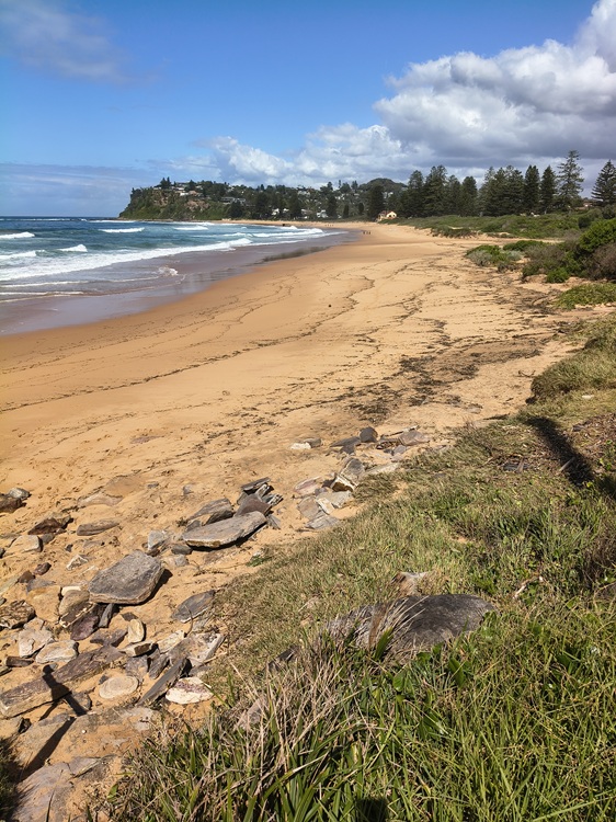 Newport Beach, Manly to Palm Beach Trail, Sydney NSW