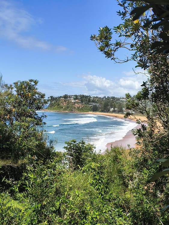 Newport Beach, Manly to Palm Beach Trail, Sydney NSW